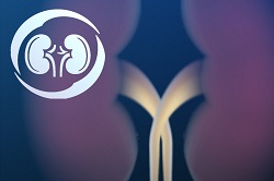 kidneyc.jpg