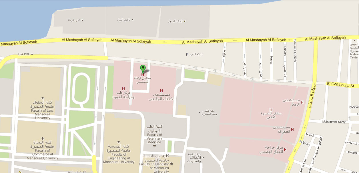 صورة جهة الإتصال